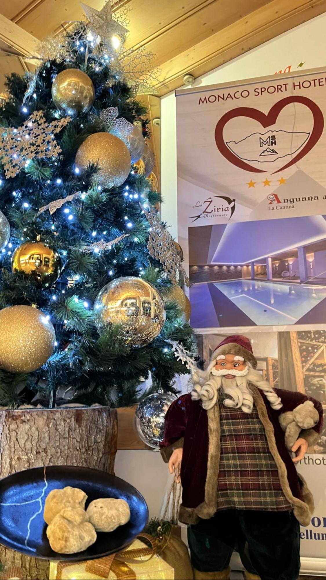 Monaco Sport Hotel Santo Stefano Di Cadore Dış mekan fotoğraf